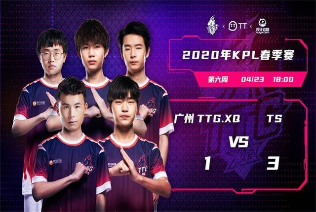 马术运动的 马术运动的