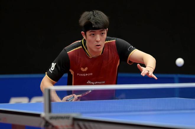 依旧坚持寻 依旧坚持寻