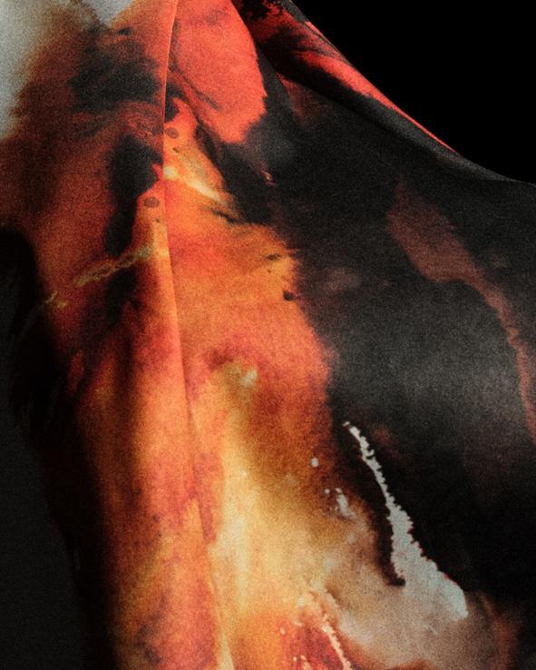 美洲市场的 美洲市场的